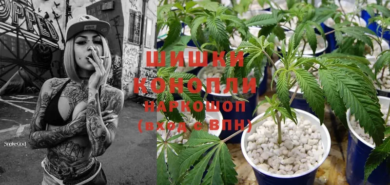 Марихуана Ganja  Данилов 